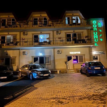 Hotel Gorunul 胡内多阿拉 外观 照片